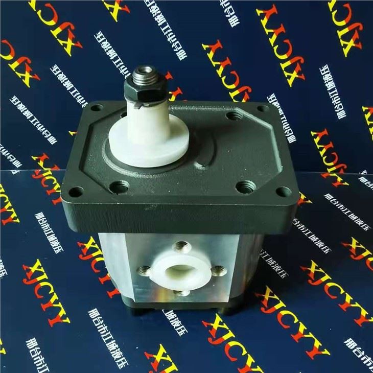 Hydraulic Gear Pump for Massey Ferguson